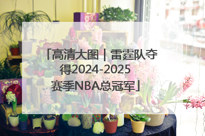高清大图｜雷霆队夺得2024-2025赛季NBA总冠军