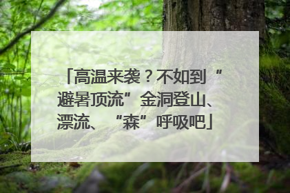 高温来袭？不如到“避暑顶流”金洞登山、漂流、“森”呼吸吧