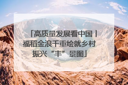 高质量发展看中国丨福稻金浪千重绘就乡村振兴“丰”景图