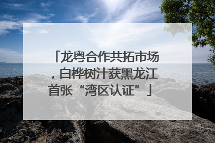 龙粤合作共拓市场，白桦树汁获黑龙江首张“湾区认证”