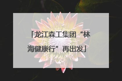 龙江森工集团“林海健康行”再出发