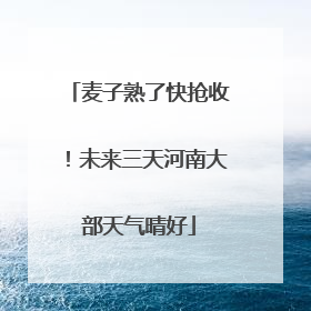 麦子熟了快抢收！未来三天河南大部天气晴好