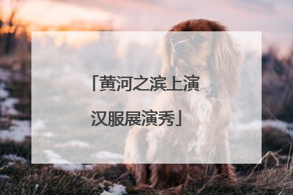 黄河之滨上演汉服展演秀