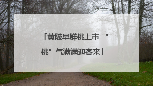 黄陂早鲜桃上市 “桃”气满满迎客来