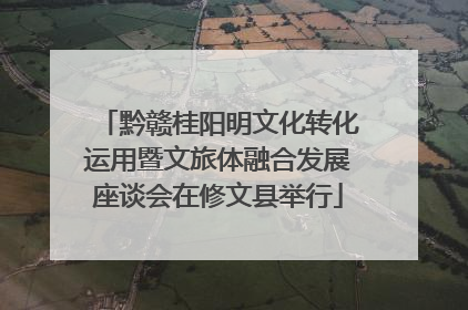 黔赣桂阳明文化转化运用暨文旅体融合发展座谈会在修文县举行
