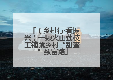 （乡村行·看振兴）一颗火山荔枝王铺就乡村“甜蜜”致富路