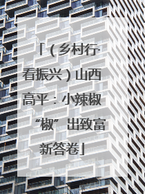 （乡村行·看振兴）山西高平：小辣椒“椒”出致富新答卷