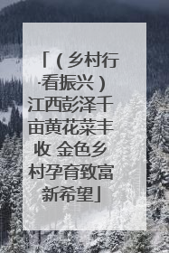 （乡村行·看振兴）江西彭泽千亩黄花菜丰收 金色乡村孕育致富新希望