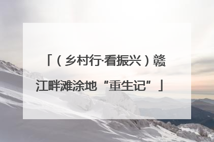 （乡村行·看振兴）赣江畔滩涂地“重生记”