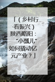 （乡村行·看振兴）陕西略阳：“小瓢儿”如何撬动亿元产业？