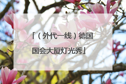 （外代一线）德国国会大厦灯光秀