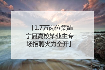 1.7万岗位集结 宁夏高校毕业生专场招聘火力全开