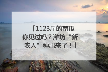 1123斤的南瓜你见过吗？潍坊“新农人”种出来了！