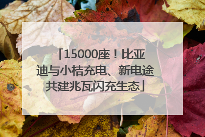 15000座！比亚迪与小桔充电、新电途共建兆瓦闪充生态