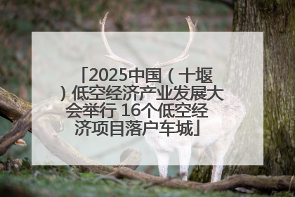 2025中国（十堰）低空经济产业发展大会举行 16个低空经济项目落户车城