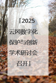 2025云冈数字化保护与创新学术研讨会召开
