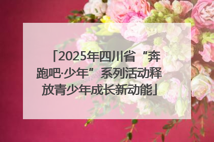 2025年四川省“奔跑吧·少年”系列活动释放青少年成长新动能