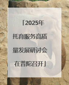 2025年托育服务高质量发展研讨会在普陀召开