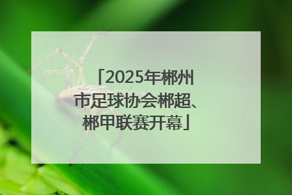2025年郴州市足球协会郴超、郴甲联赛开幕