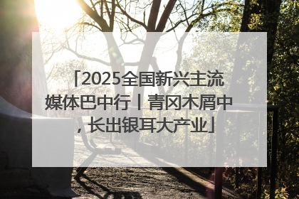 2025全国新兴主流媒体巴中行丨青冈木屑中，长出银耳大产业