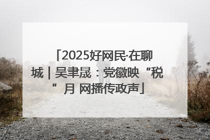 2025好网民·在聊城｜吴聿晟：党徽映“税”月 网播传政声