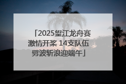 2025望江龙舟赛激情开桨 14支队伍劈波斩浪迎端午