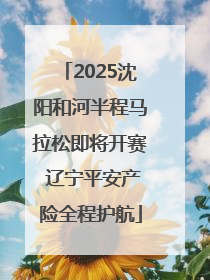 2025沈阳和河半程马拉松即将开赛 辽宁平安产险全程护航