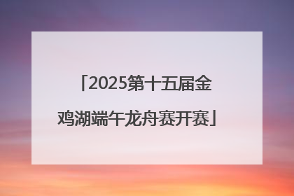 2025第十五届金鸡湖端午龙舟赛开赛