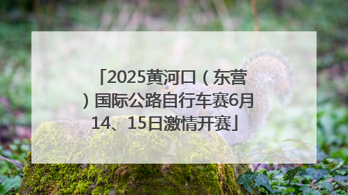 2025黄河口（东营）国际公路自行车赛6月14、15日激情开赛