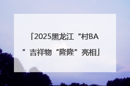 2025黑龙江“村BA”吉祥物“隆隆”亮相