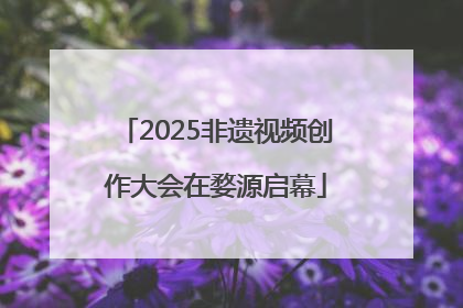 2025非遗视频创作大会在婺源启幕