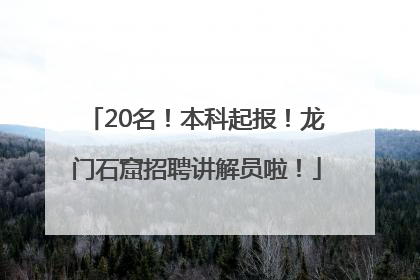 20名！本科起报！龙门石窟招聘讲解员啦！