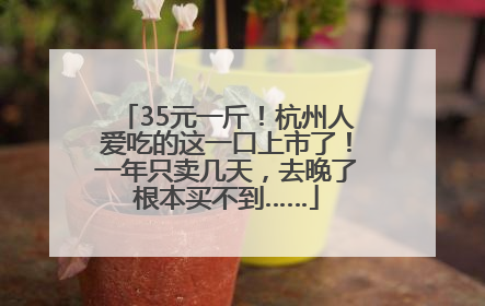 35元一斤！杭州人爱吃的这一口上市了！一年只卖几天，去晚了根本买不到……