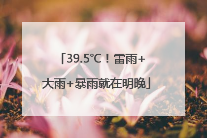 39.5℃！雷雨+大雨+暴雨就在明晚
