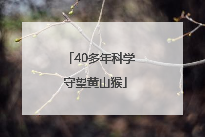 40多年科学守望黄山猴