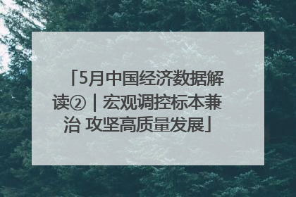 5月中国经济数据解读②｜宏观调控标本兼治 攻坚高质量发展