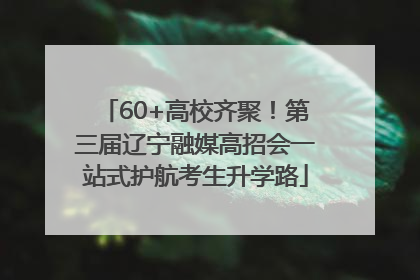60+高校齐聚！第三届辽宁融媒高招会一站式护航考生升学路