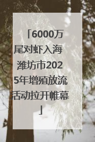 6000万尾对虾入海 潍坊市2025年增殖放流活动拉开帷幕