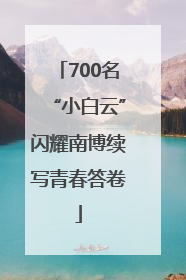 700名“小白云”闪耀南博续写青春答卷