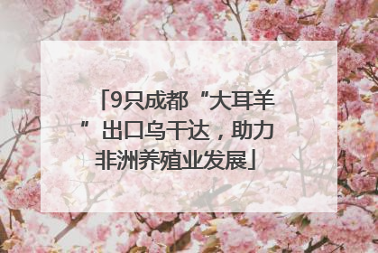 9只成都“大耳羊”出口乌干达，助力非洲养殖业发展