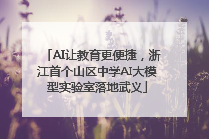 AI让教育更便捷，浙江首个山区中学AI大模型实验室落地武义