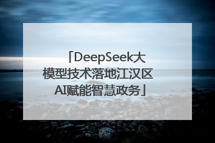 DeepSeek大模型技术落地江汉区 AI赋能智慧政务